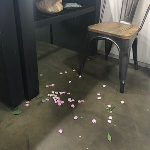 Meet your Posher, Jane